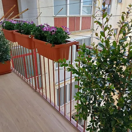 Daire San Pietro Center